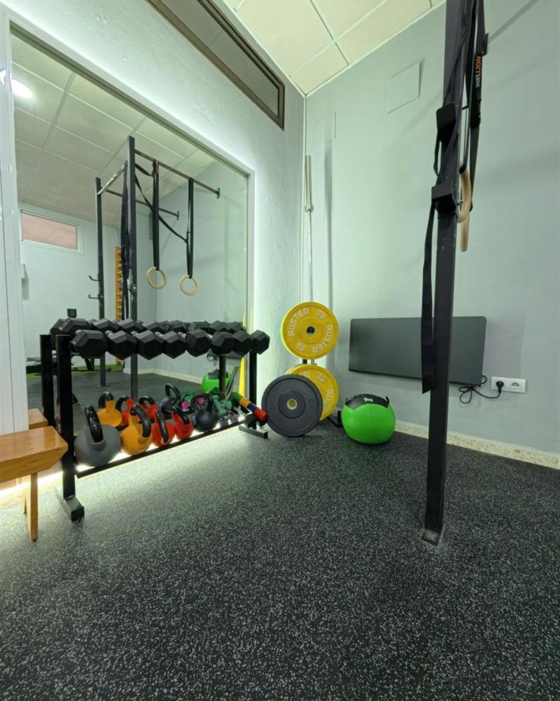 Material de entrenamiento y readaptación: mancuernas, discos y balones